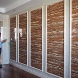 Site visit – Guangdong Shunde Richfruits Coating Technology Co., Ltd., Foshan City 2016