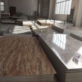 Site visit – Guangdong Shunde Richfruits Coating Technology Co., Ltd., Foshan City 2016