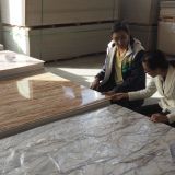 Site visit – Guangdong Shunde Richfruits Coating Technology Co., Ltd., Foshan City 2016